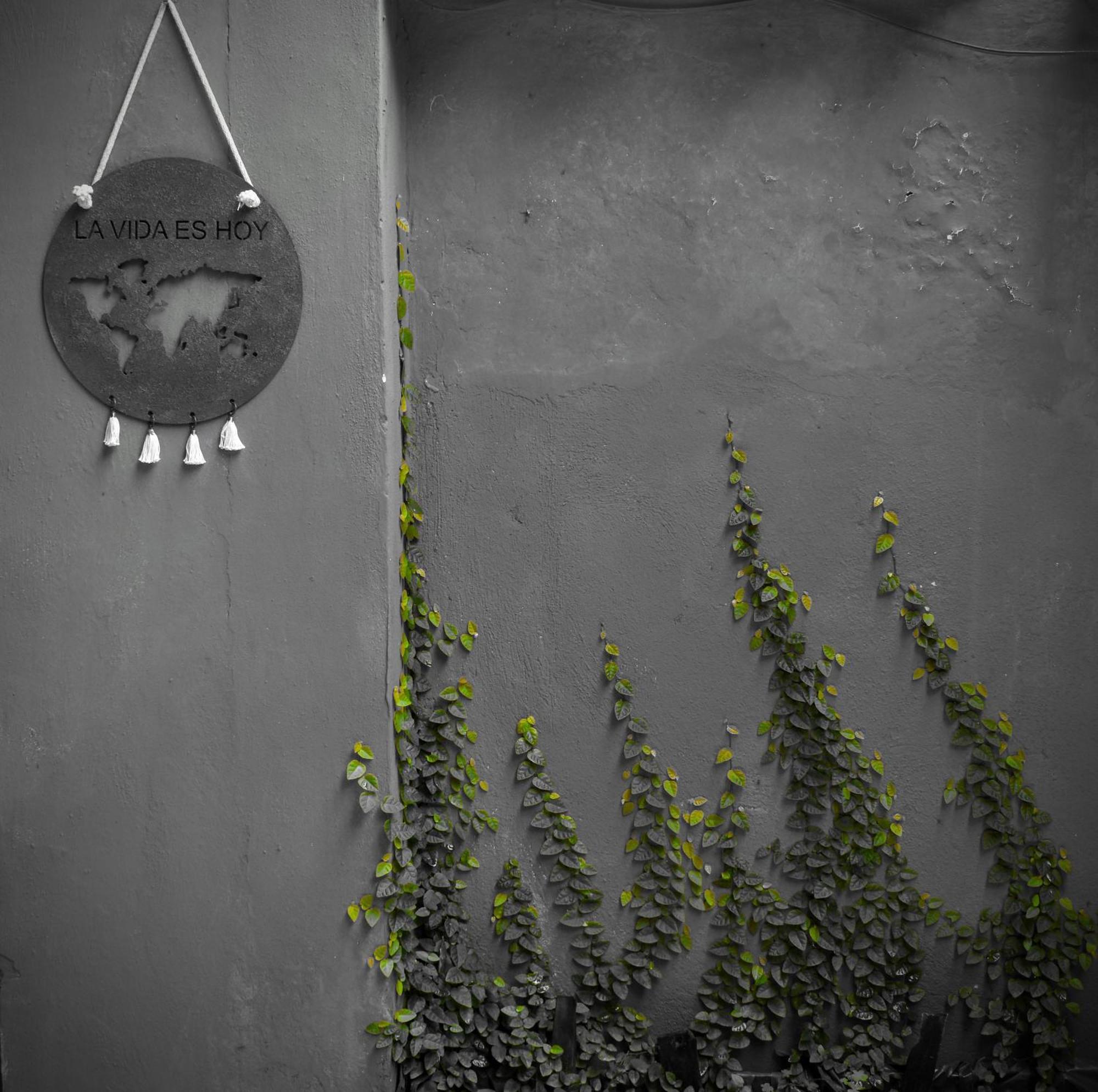 Leo'S Clan Beach Hostel Araquari Eksteriør billede
